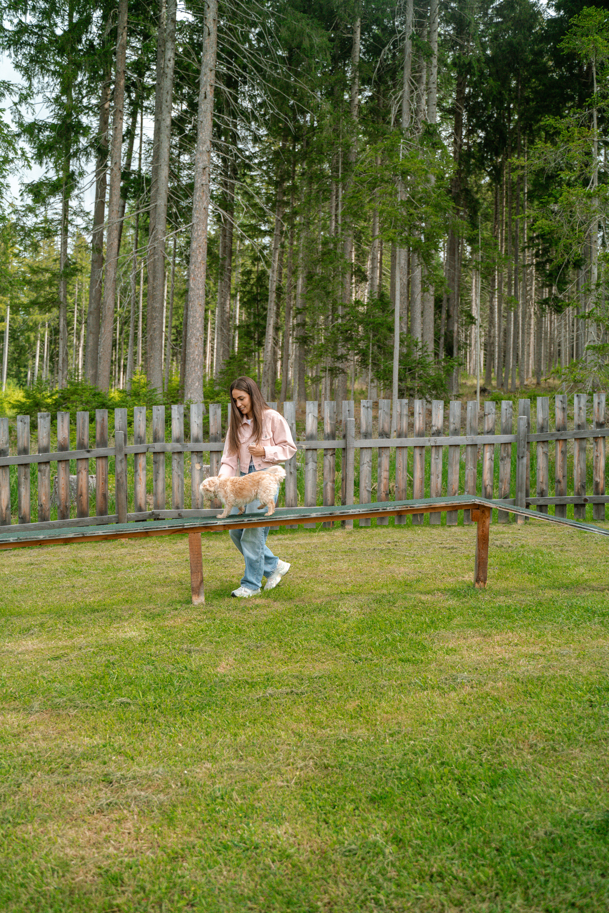 Hunde-Agility-Park